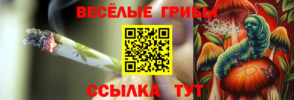 Галлюциногенные грибы Psilocybine cubensis Арзамас